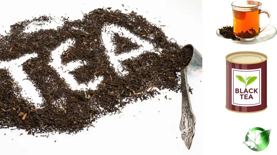 Supply partner evaluation for Black Tea should cover specification, packaging, required records, logistics, and all-in receiving cost.